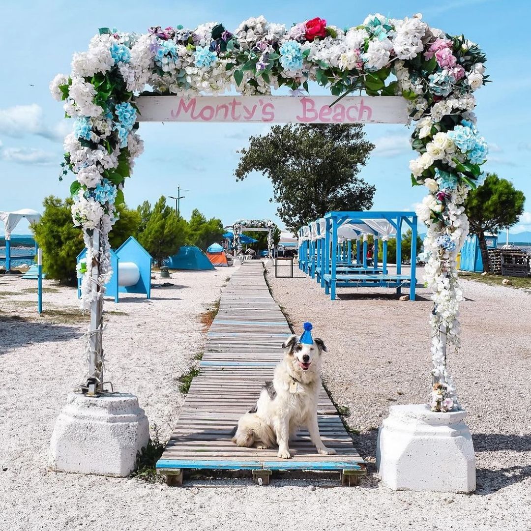 Monty’s Dog Beach & Bar v Crikvenici, Chorvatsko: Perfektní psí pláž a bar pro vás a vašeho psa