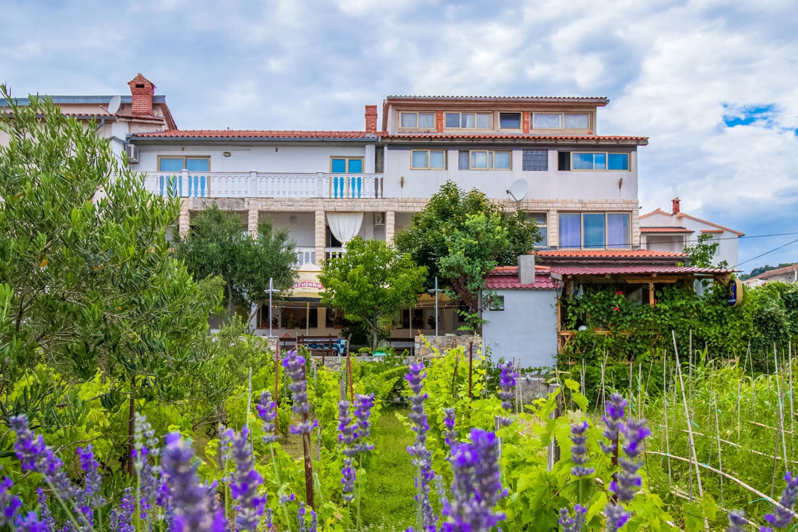 Apartmán Ostrov Rab - Palit OS 9030 N2